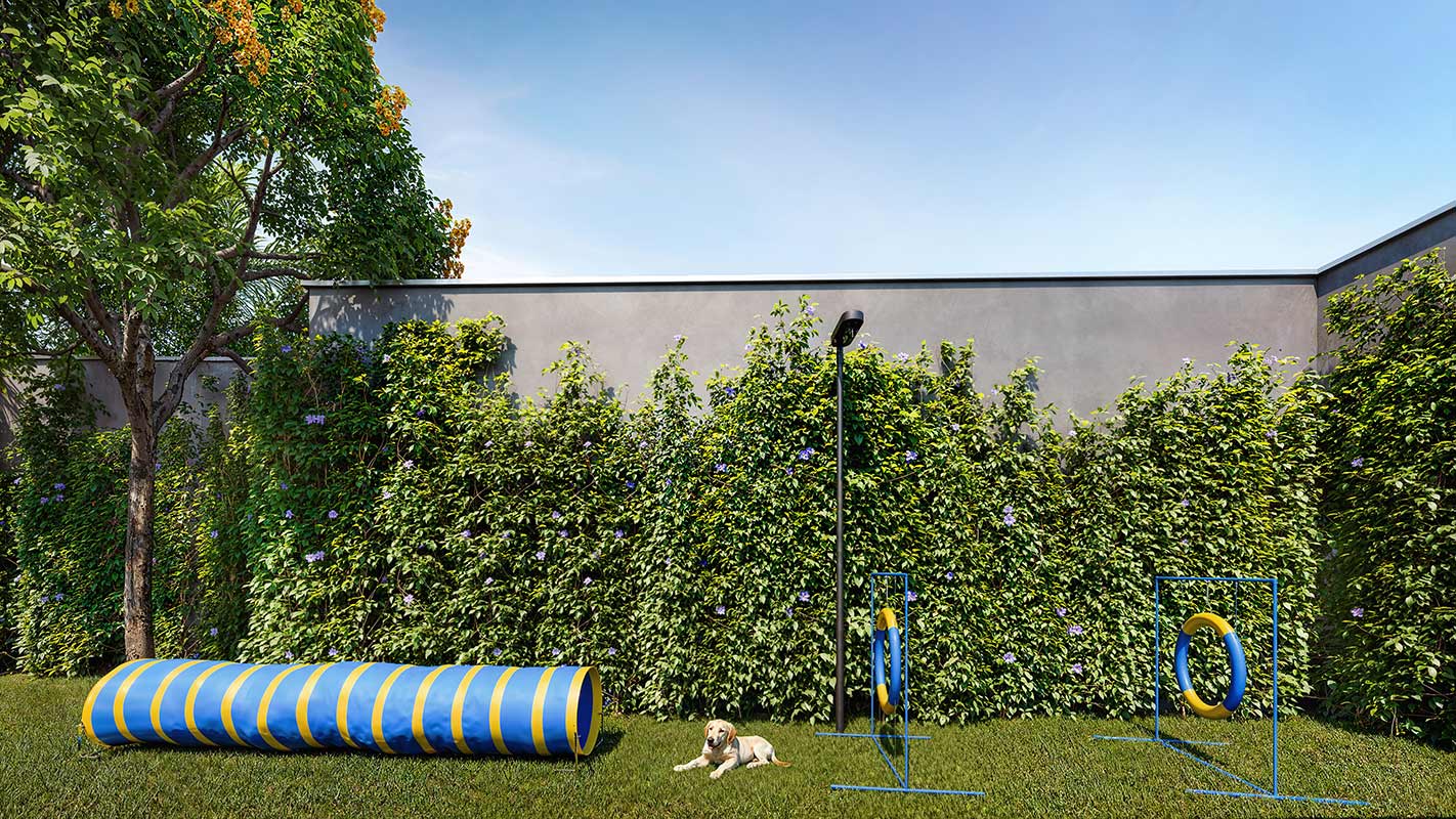 Perspectiva ilustrada do Pet Place